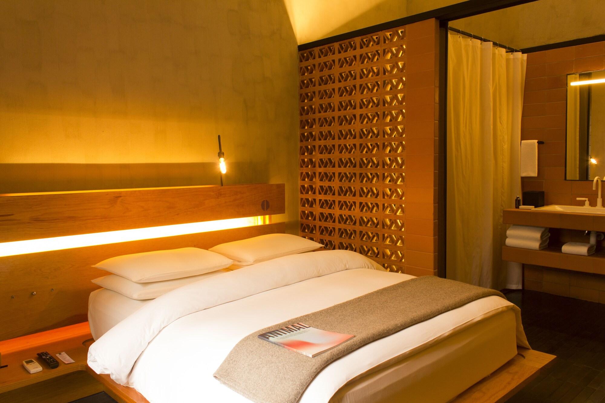 Hotel Downtown Meksyk Zewnętrze zdjęcie
